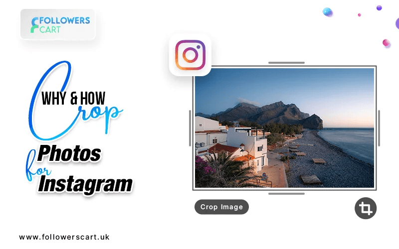 Why and How to Crop Photos for Instagram
