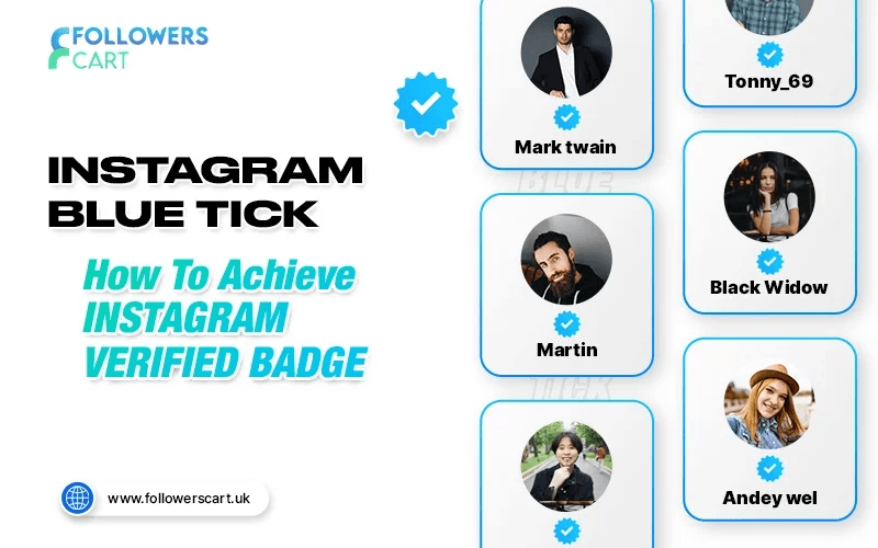 Instagram Blue Tick: How to Achieve Instagram Verified Badge