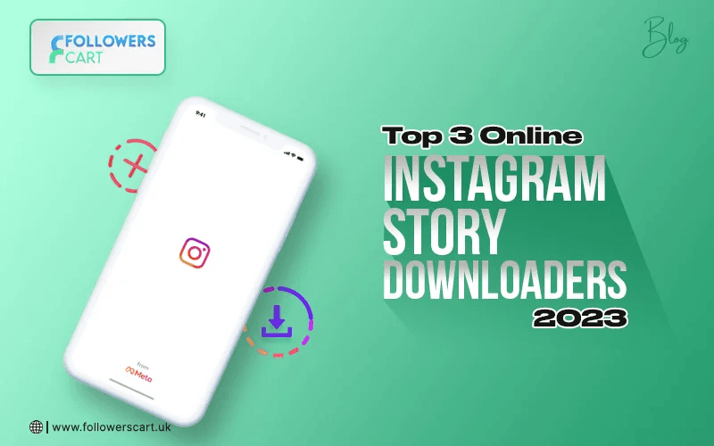 Online Instagram Story Downloaders for 2024