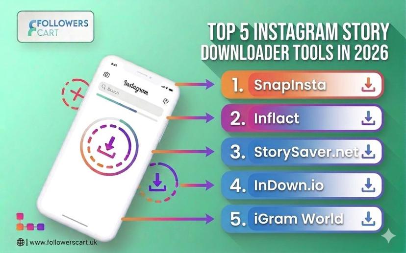 Instagram Story Downloader — The Complete Guide